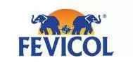 Fevicol